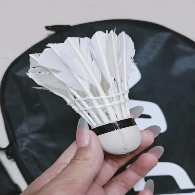 青年球员成长路径的心理视角探索与分析