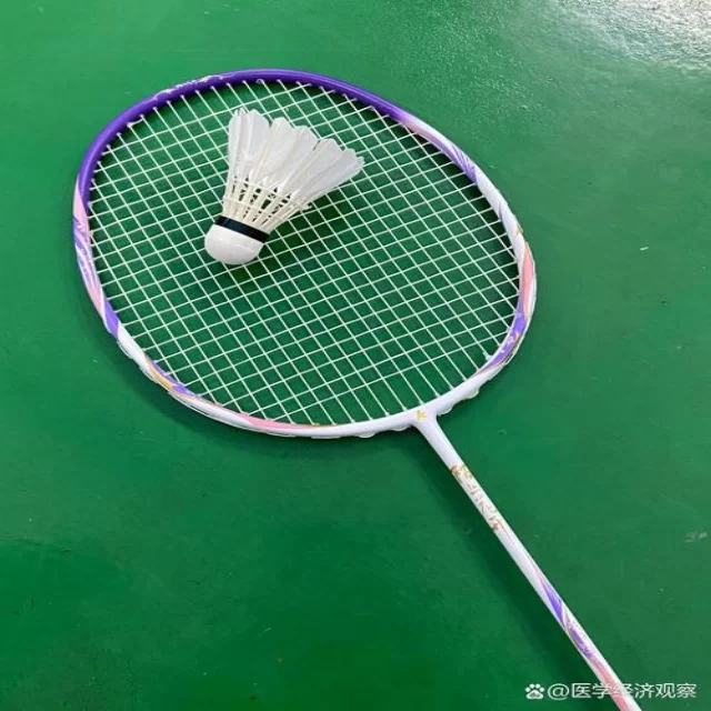 数据解析篮球季后赛走势：深度分析第673组表现